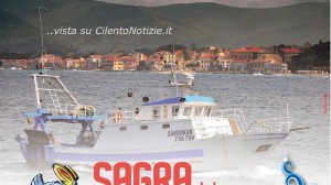 07032016_pescato-di-paranza_03     
